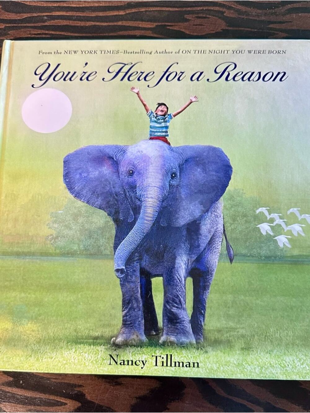 You're Here for a Reason by Nancy Tillman - Picture Book, Purple Elephant Cover